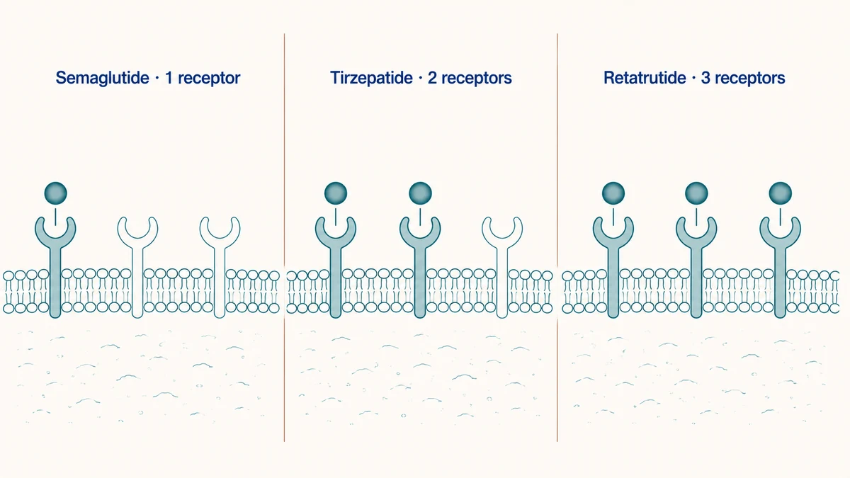 Tirzepatide vs Semaglutide vs Retatrutide